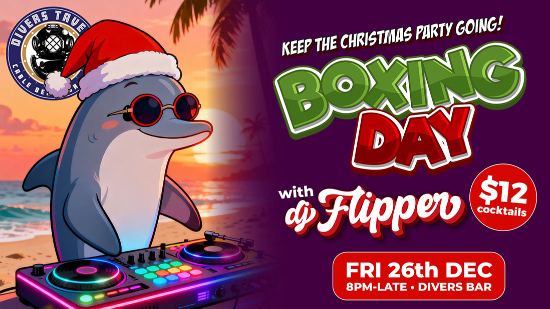 DJ Flipper Xmas