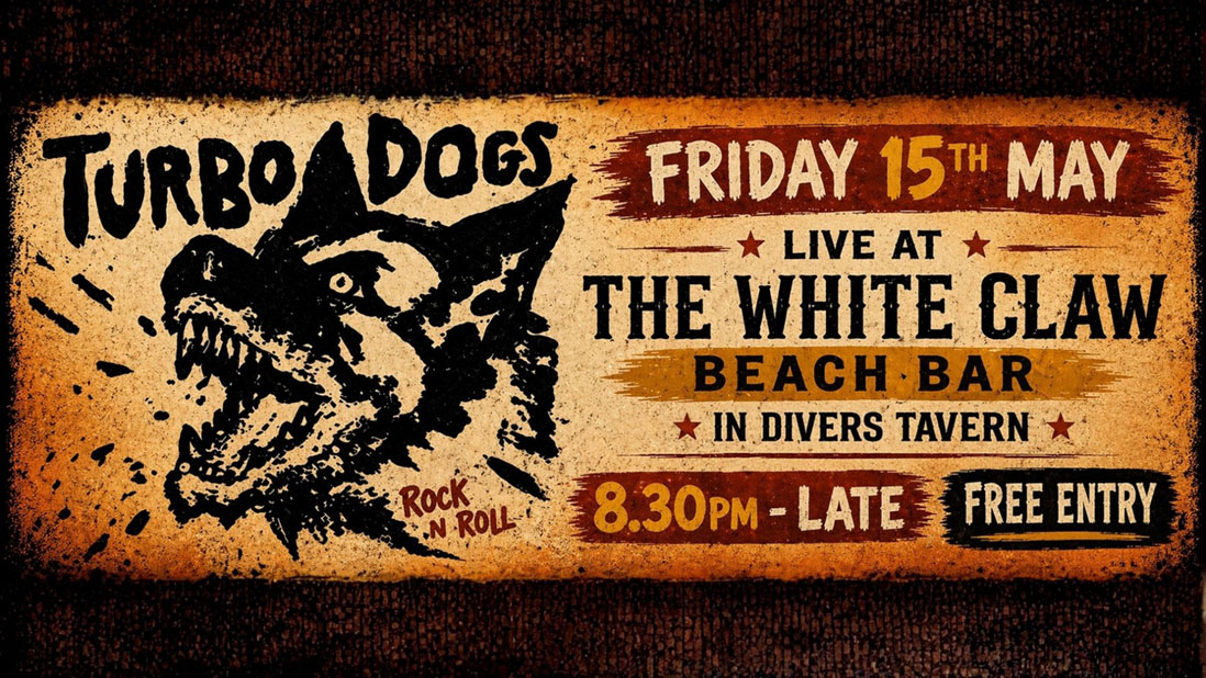 Turbo Dogs playing at Divers Tavern